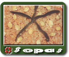 Recetas de Sopas Mexicanas